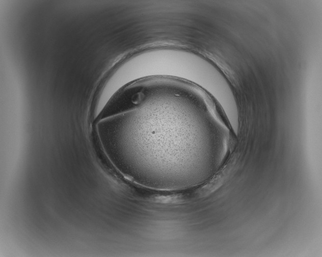 X0000111580160200907301413