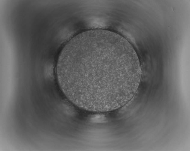 X0000111580162200907301413