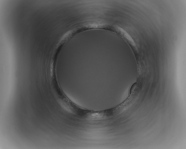 X0000111580163200907301413