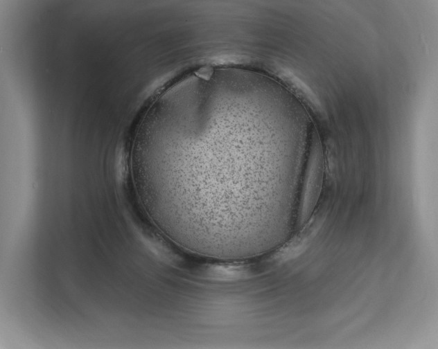 X0000111580164200907301413