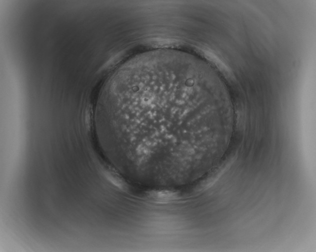 X0000111580165200907301413