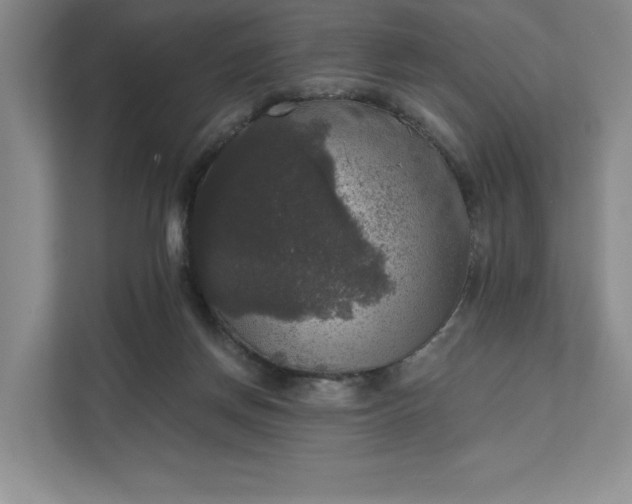 X0000111580166200907301413