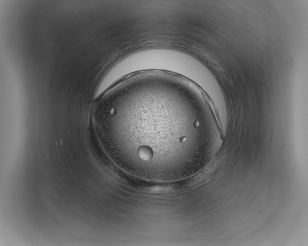 X0000111580168200907301413