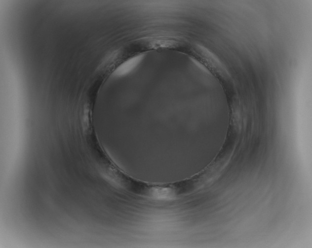 X0000111580169200907301413