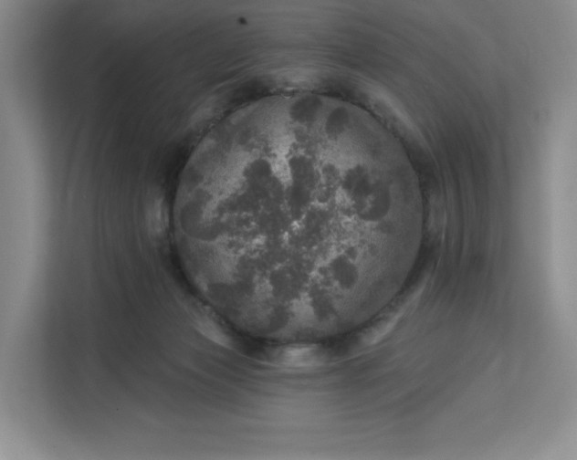 X0000111580173200907301413