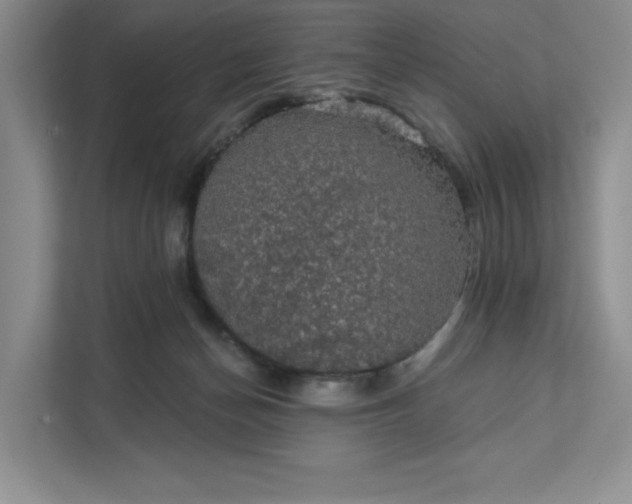 X0000111580174200907301413