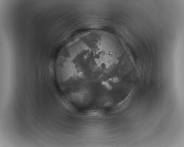 X0000111580175200907301413