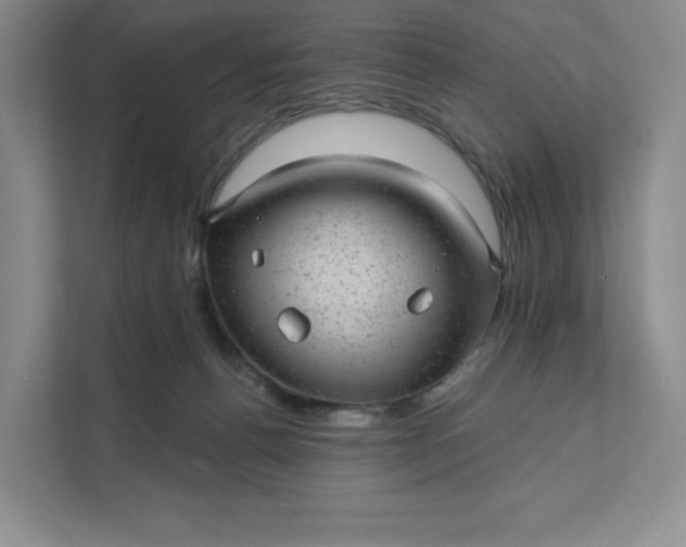 X0000111580176200907301413