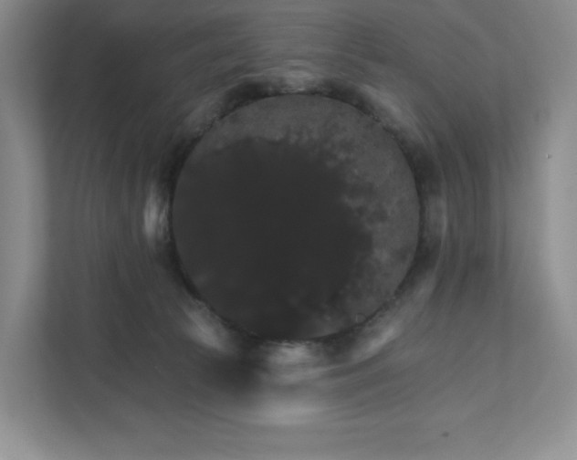 X0000111580177200907301413