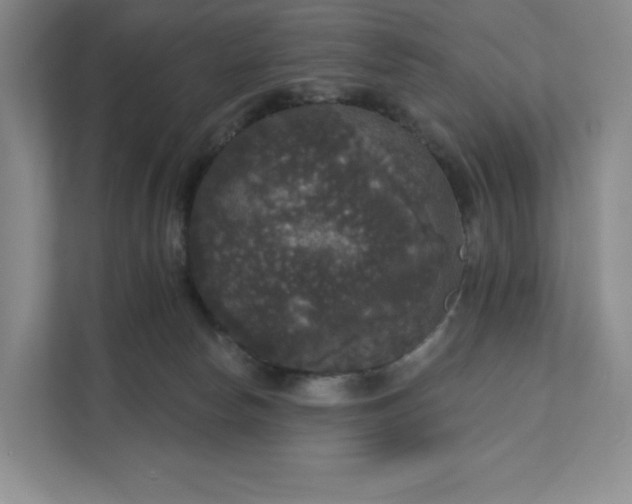 X0000111580178200907301413