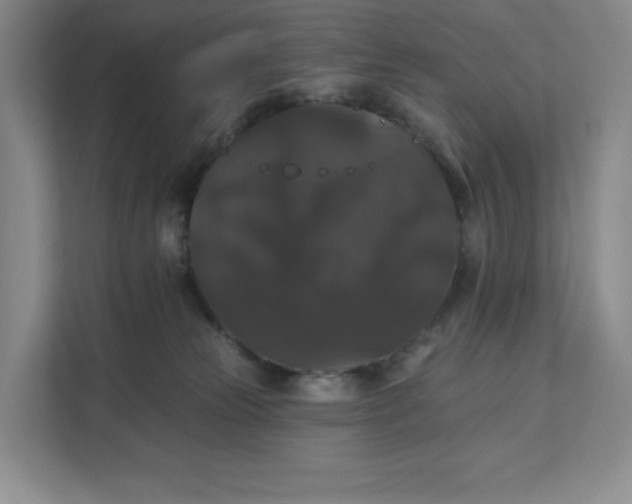 X0000111580181200907301413