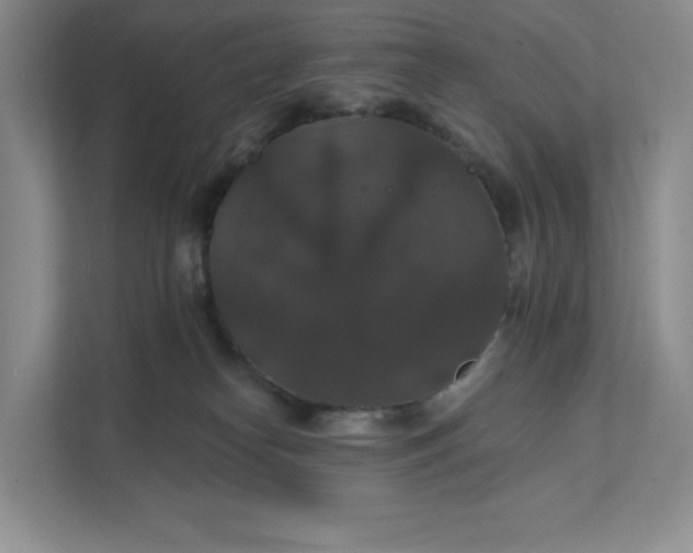 X0000111580182200907301413