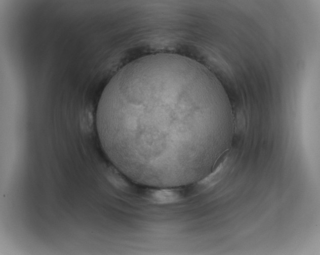 X0000111580183200907301413