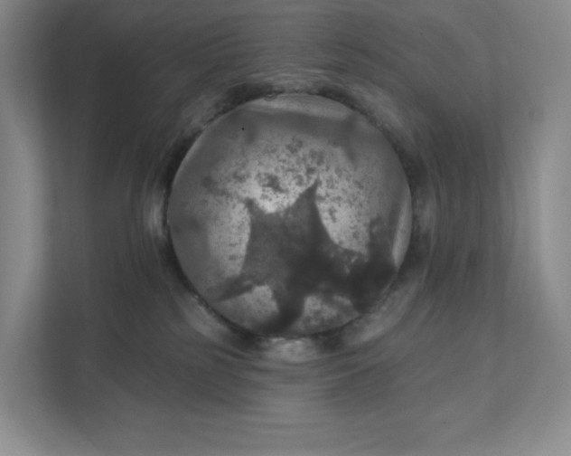 X0000111580185200907301413