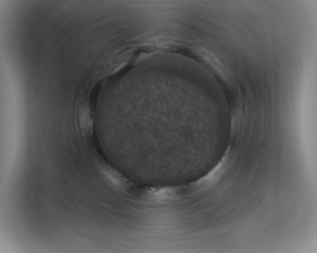 X0000111580186200907301413