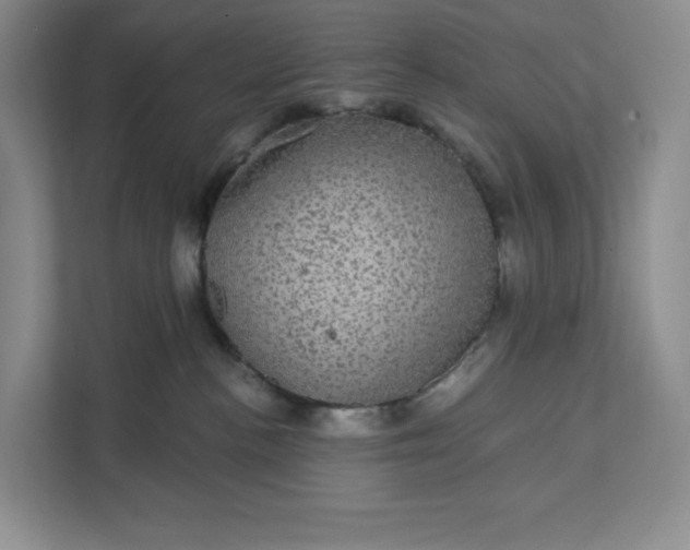 X0000111580188200907301413