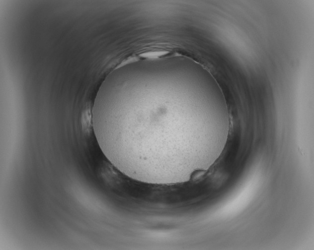 X0000111580190200907301413