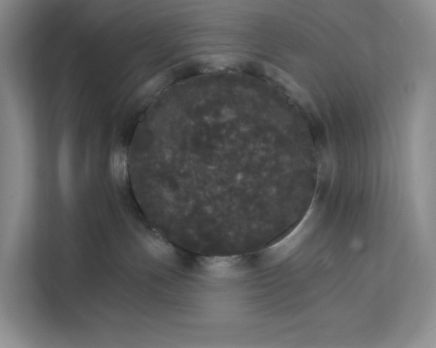 X0000111580191200907301413