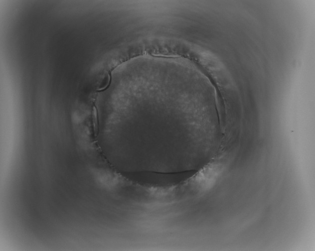 X0000111580192200907301413