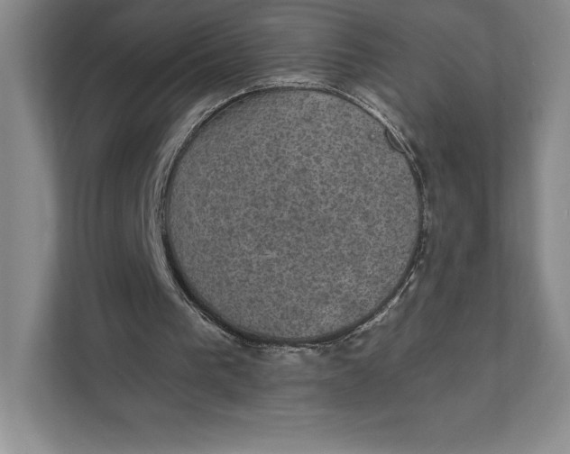 X0000111580193200907301412