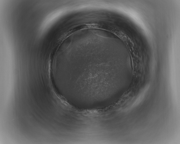 X0000111580194200907301412