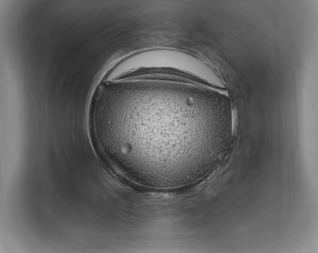 X0000111580195200907301412