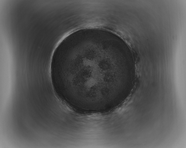 X0000111580196200907301412