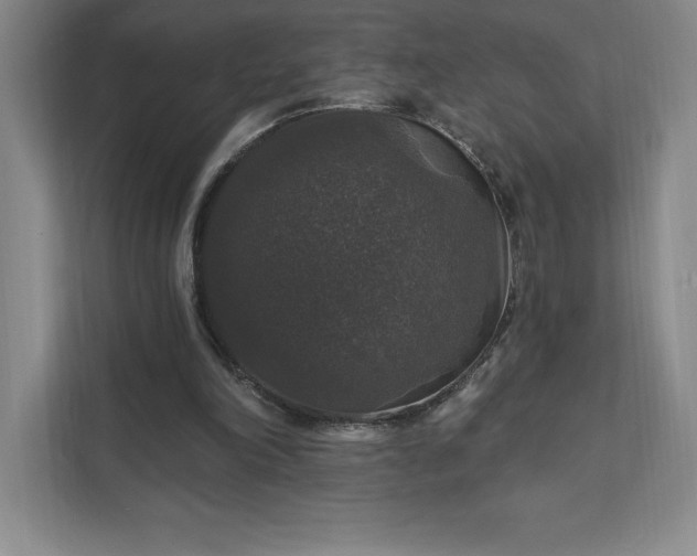 X0000111580198200907301412