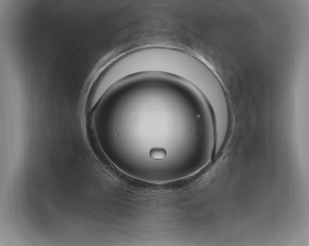 X0000111580199200907301412