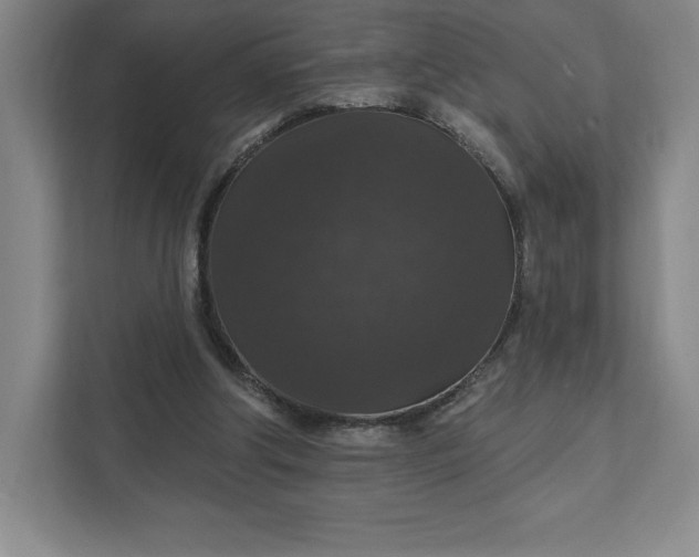 X0000111580202200907301412