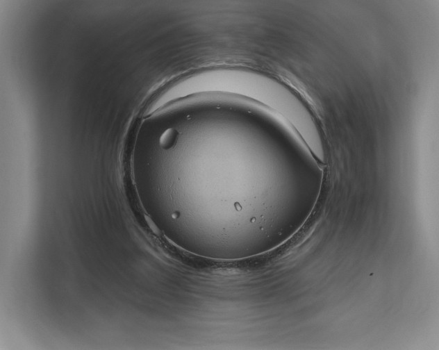 X0000111580203200907301412