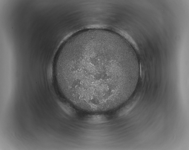 X0000111580204200907301412