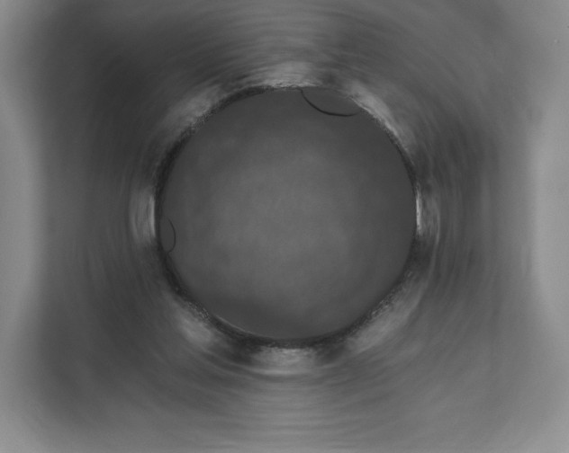 X0000111580205200907301412