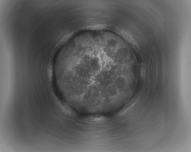 X0000111580206200907301412