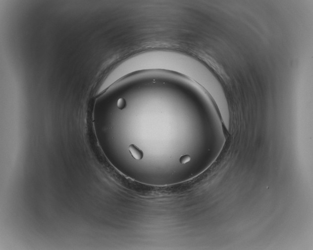 X0000111580207200907301412