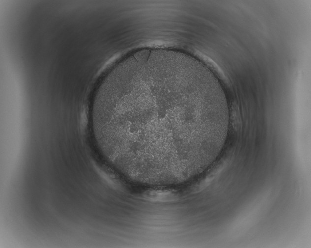 X0000111580208200907301412