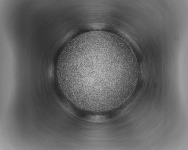 X0000111580212200907301412