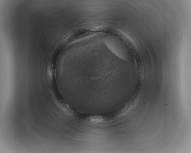 X0000111580214200907301412