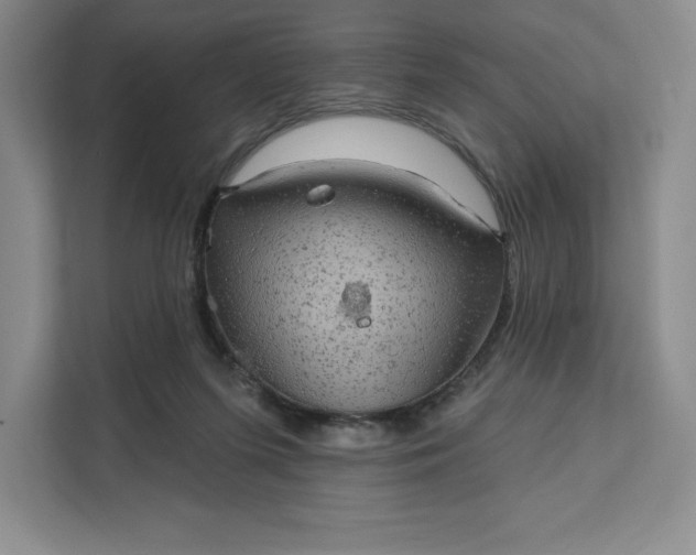 X0000111580215200907301412