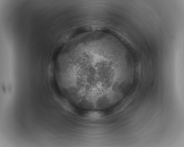 X0000111580218200907301412