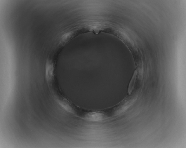 X0000111580219200907301412