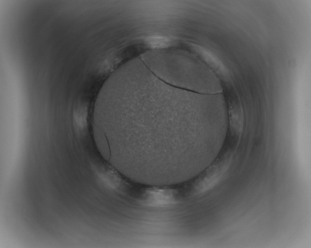 X0000111580221200907301412