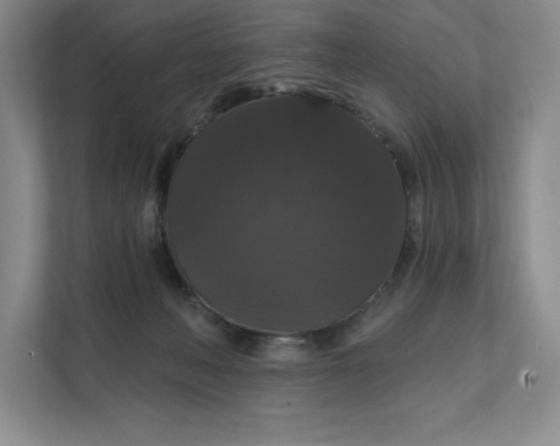 X0000111580222200907301412