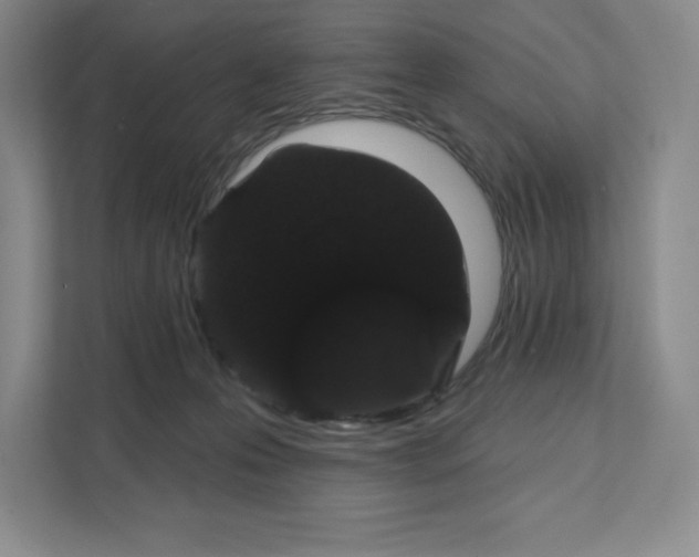 X0000111580223200907301412