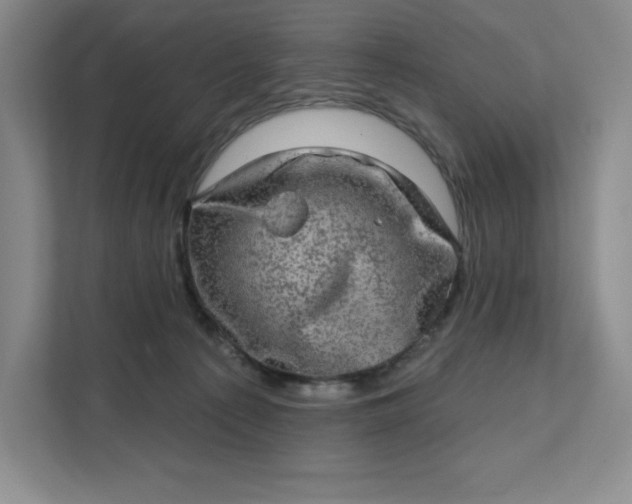 X0000111580225200907301412