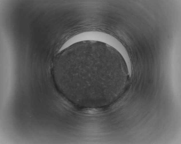 X0000111580229200907301412