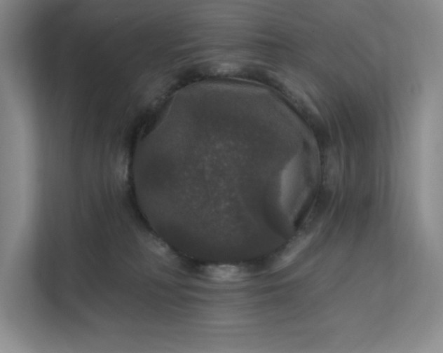 X0000111580230200907301412