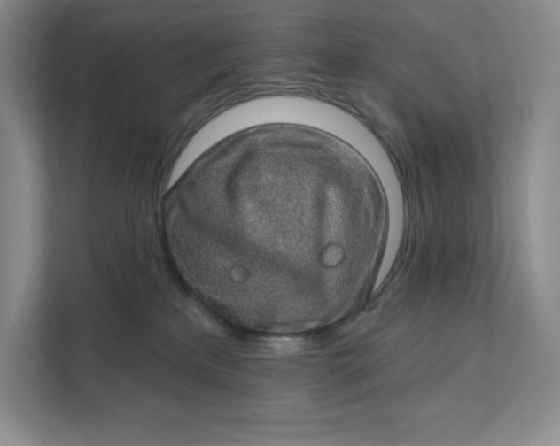 X0000111580233200907301412