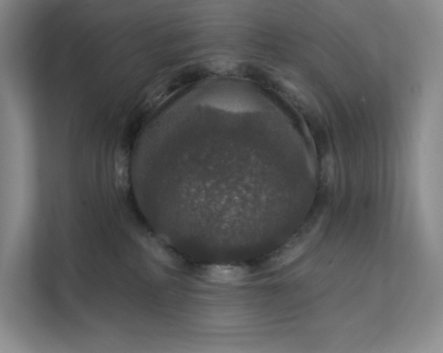 X0000111580234200907301412