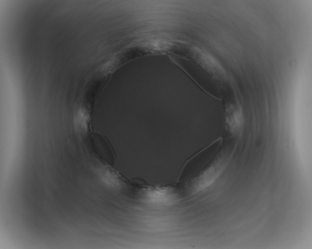 X0000111580235200907301412